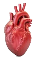 heart.png|200