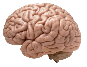 Artificial Brain.png|200